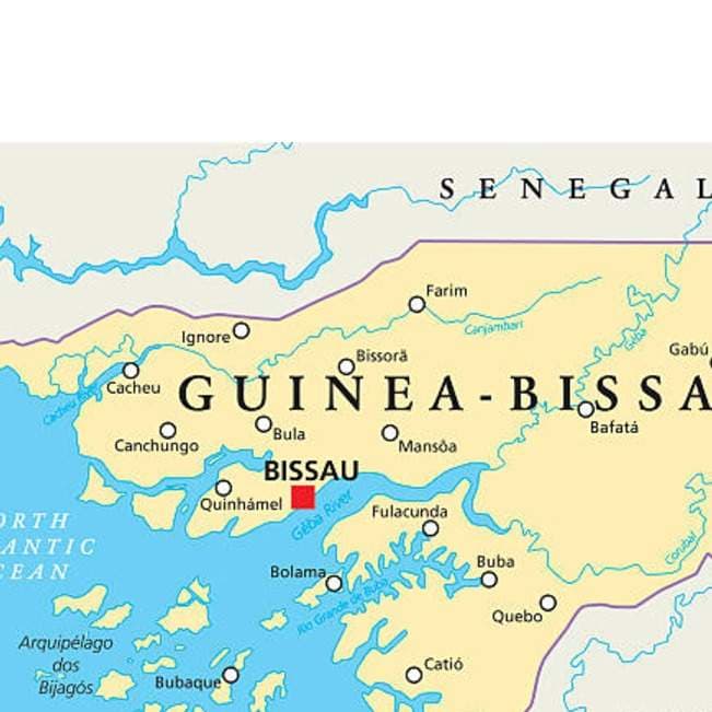 Guinea-Bissau Military Bans Protests Ahead of ECOWAS Visit