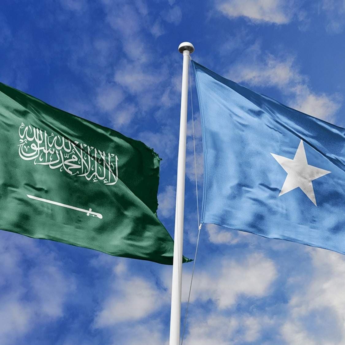Somalia and Saudi Arabia Seal Defence Pact