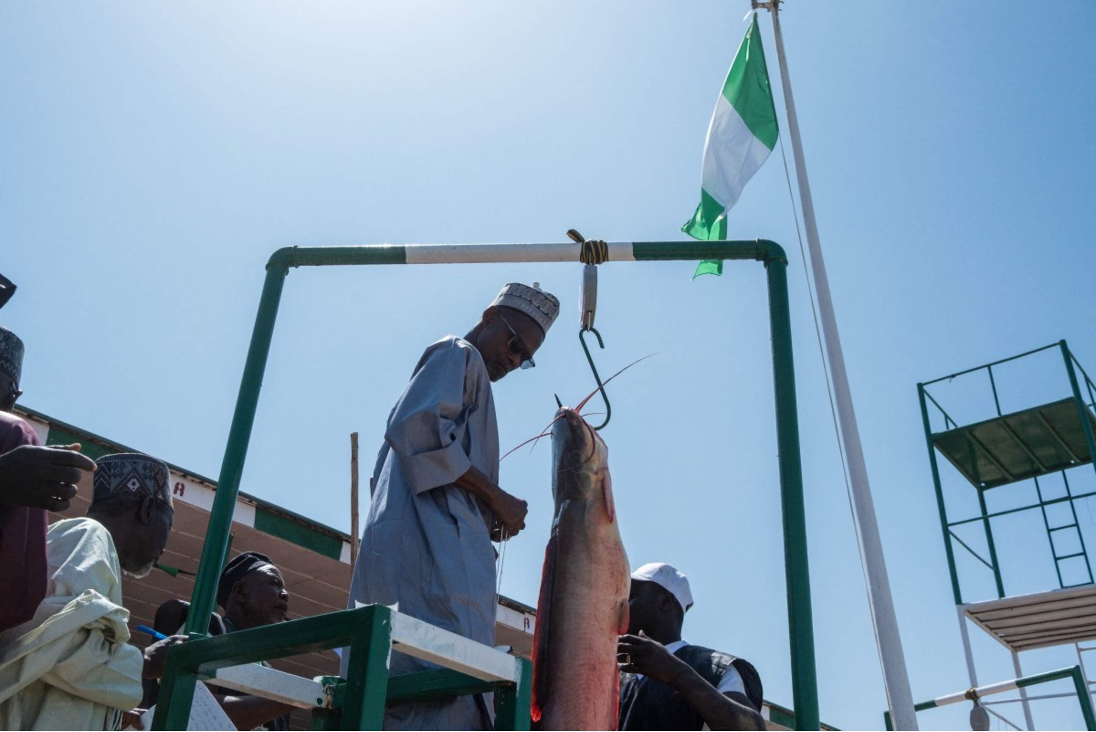 Fisherman Catches 59kg Fish at Argungu Fishing Festival