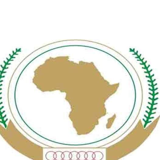 African Leaders Push for Increased Malaria Funding at AU Summit