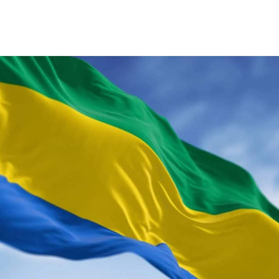 Gabon Blocks Facebook and TikTok Amid Teachers’ Strike