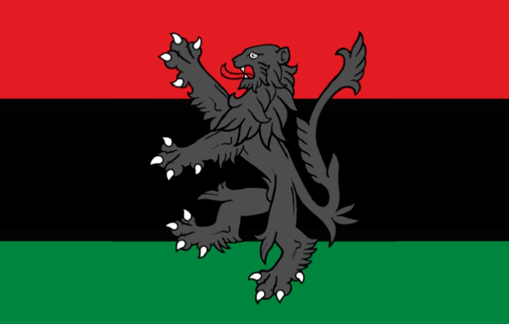 Black Panther-Inspired Groups Re-emerge as U.S Unrest Grows