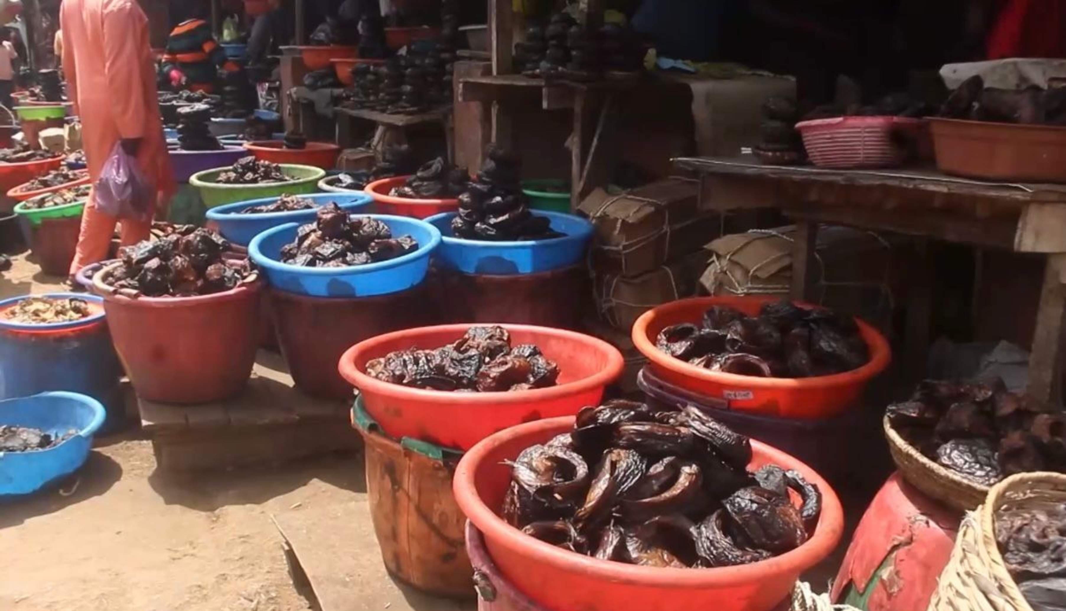 Traders at Kado Fish Market Lament Challenges, Call for Support