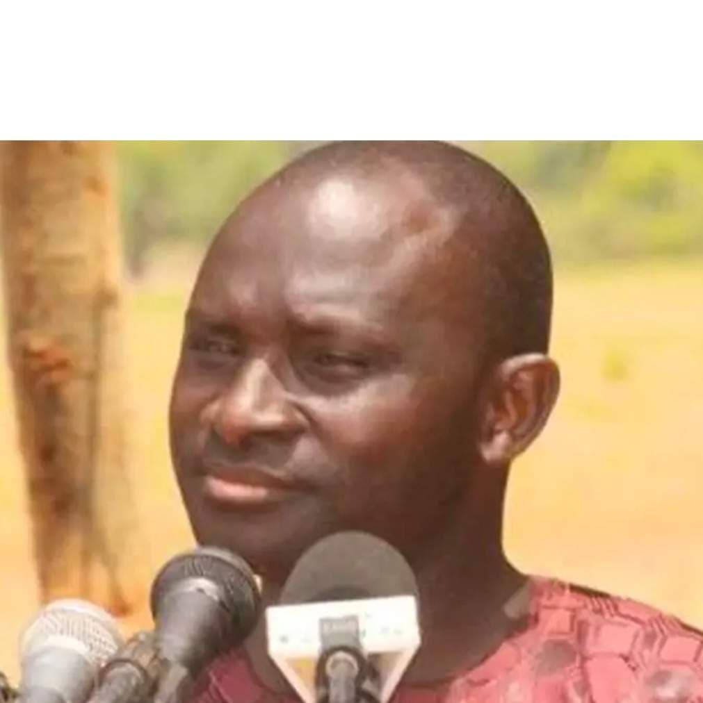 Ex-Gambian Minister Appeals Swiss Crimes Conviction