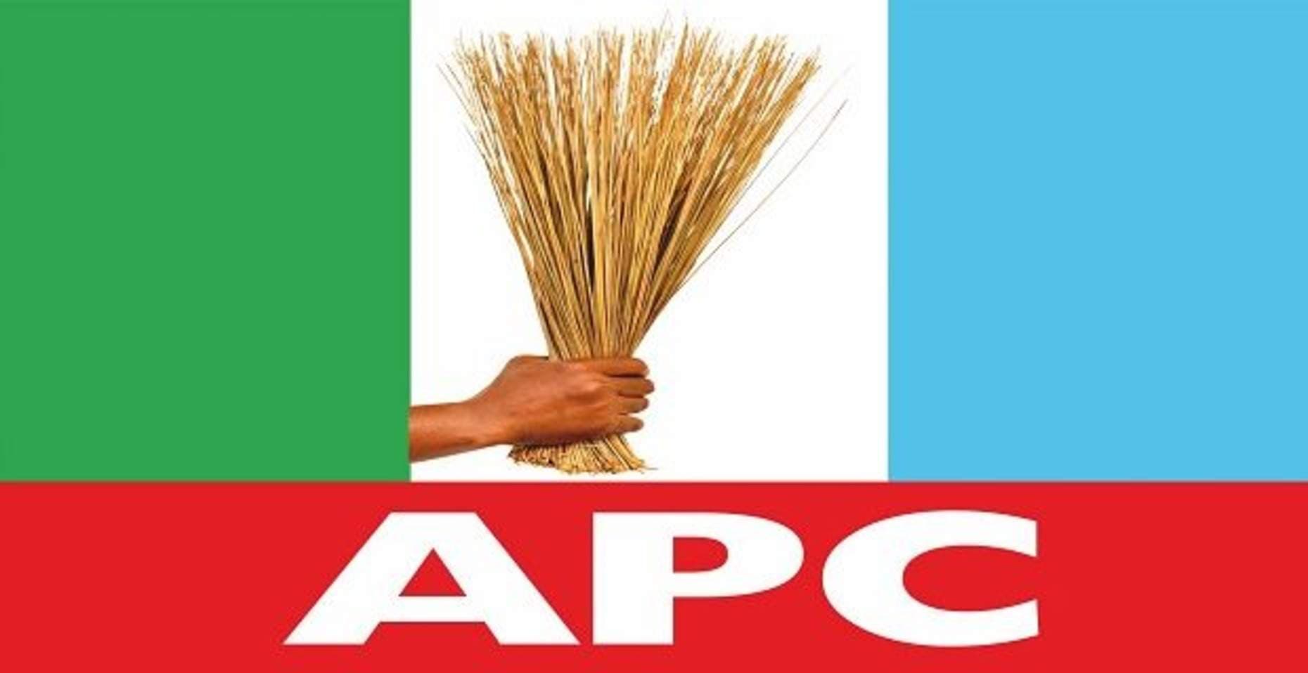 Edo APC Rounds up Council Primaries