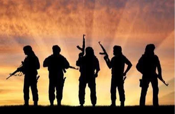 Terrorists Kill Four Police, Hunter in Borno