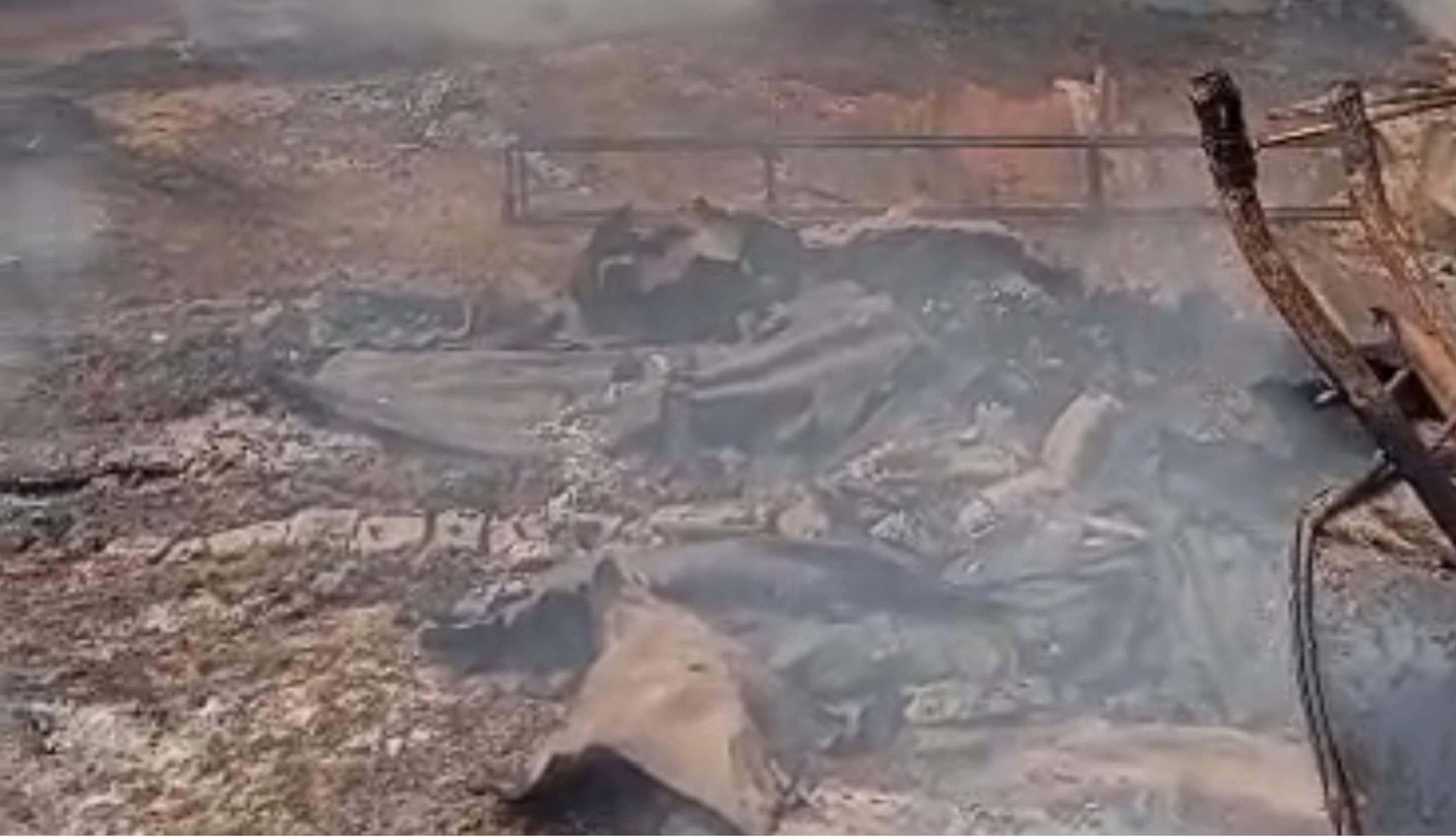 Five Dead, Many Unaccounted for After Benue Community Attack