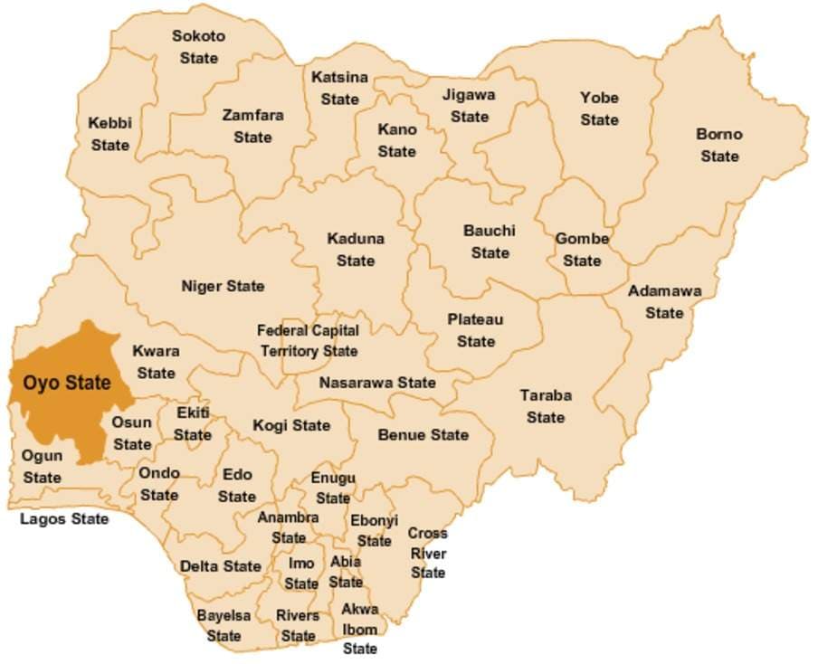 Panic in Oyo as Elephant Attack Claims Life