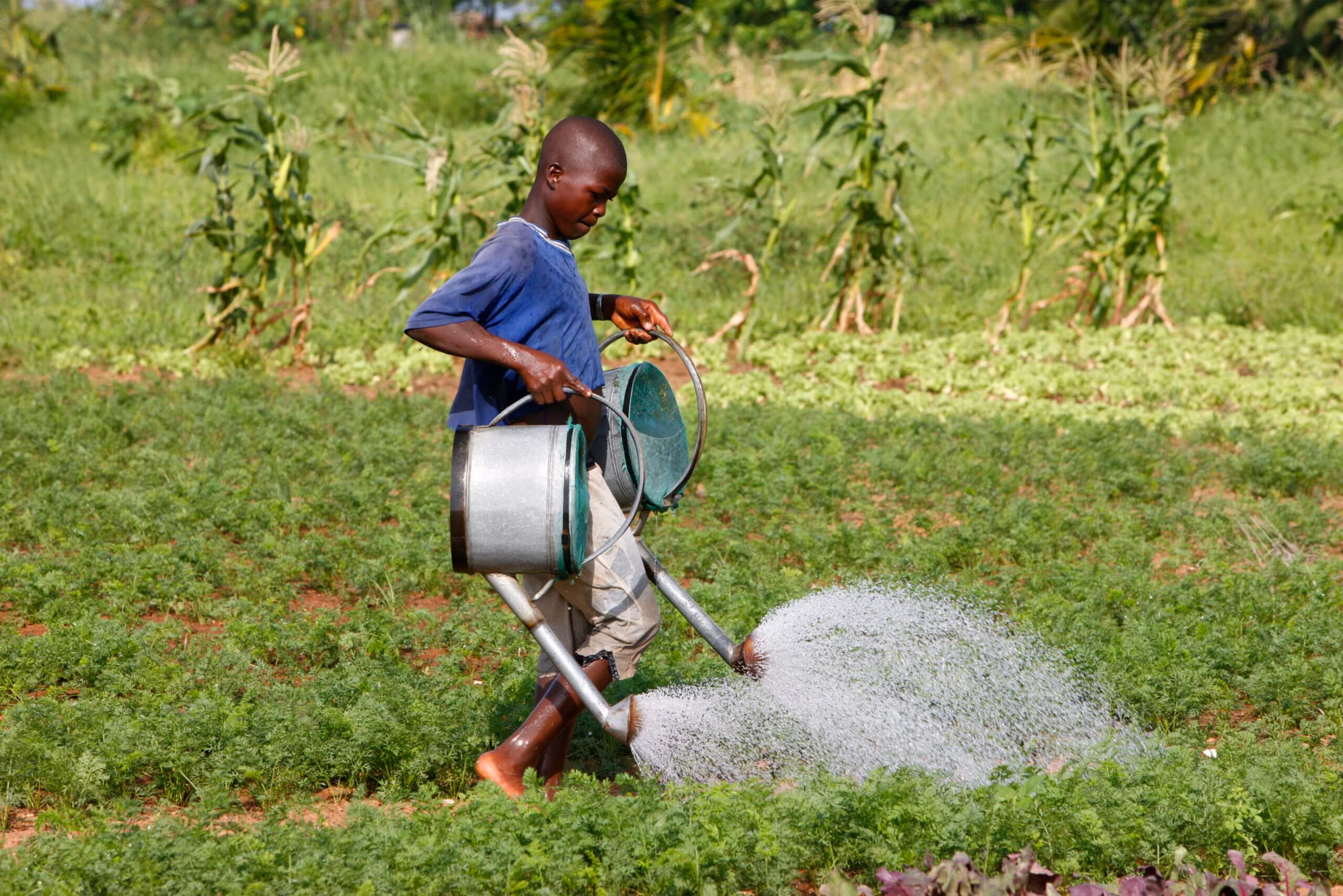 Sudan: African Development Fund to Extend $87 Million to Strengthen Food Security