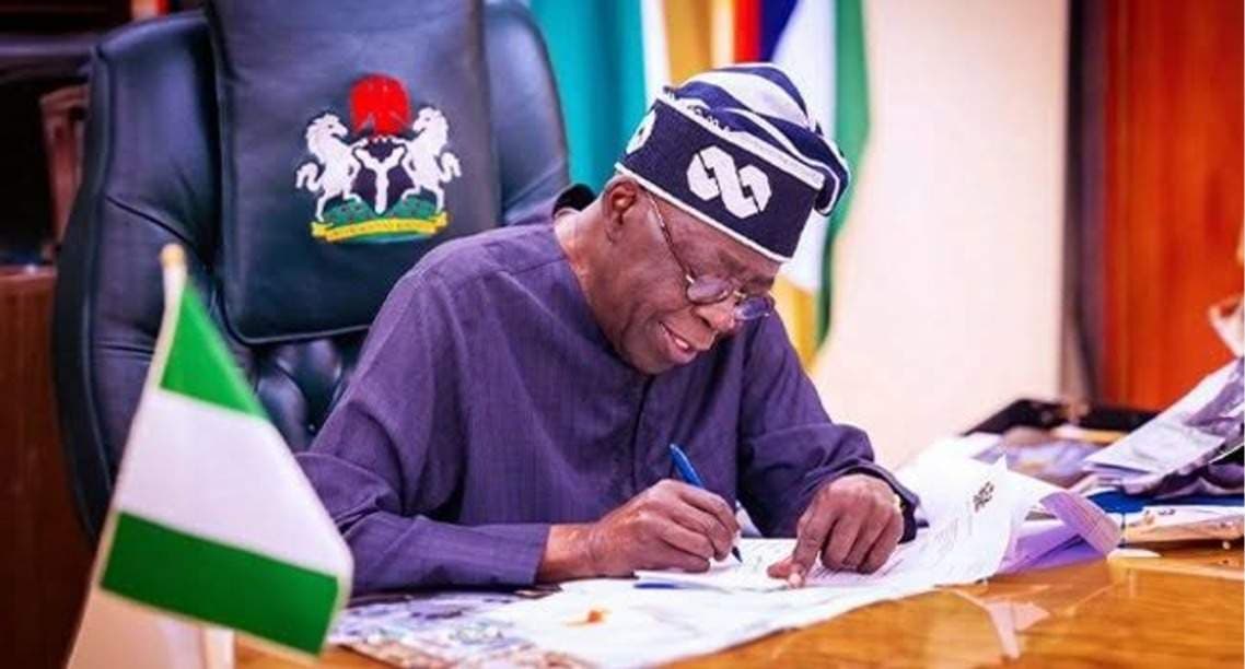Tinubu Appoints Former Power Minister as Special Adviser
