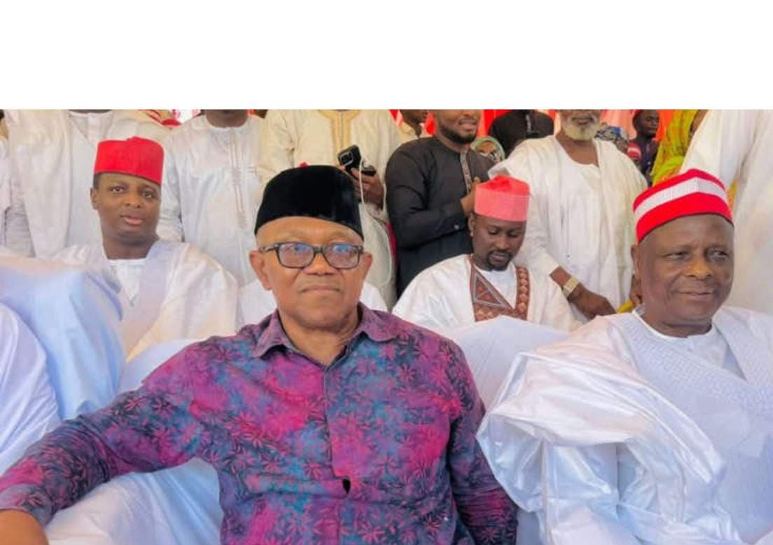 NDC Zones 2027 Presidential Ticket to Southern Nigeria as Obi, Kwankwaso Strengthen Party Ahead of Convention