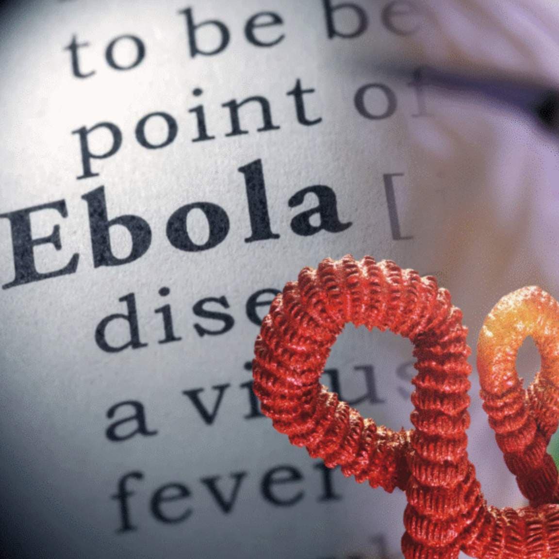 WHO Declares DR Congo Ebola Outbreak International Health Emergency