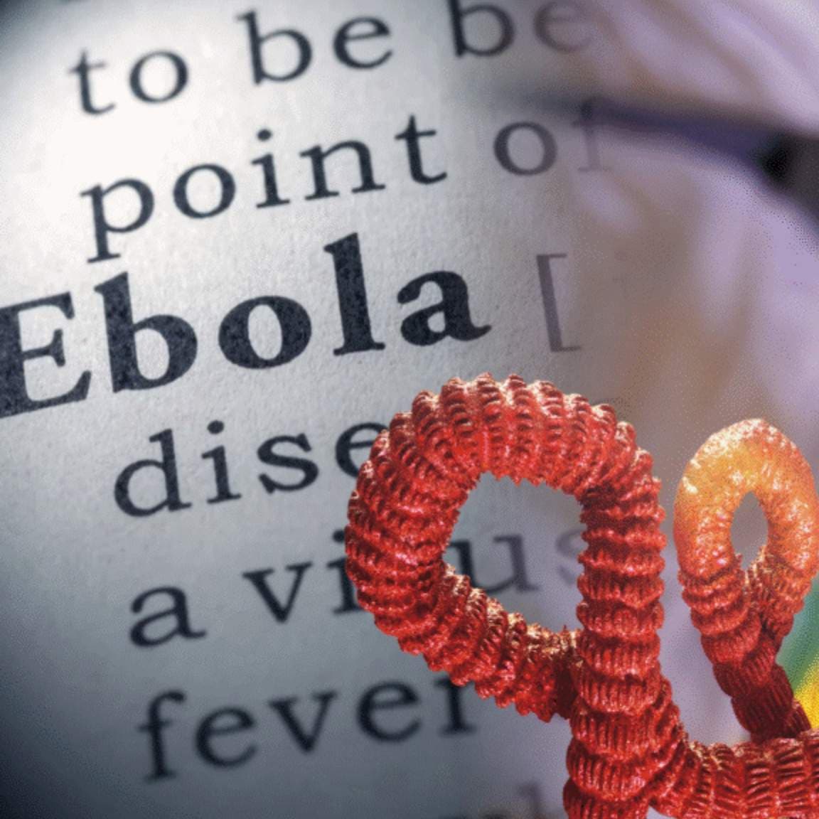 Ebola Outbreak: Six Americans Exposed as WHO Declares DR Congo Emergency