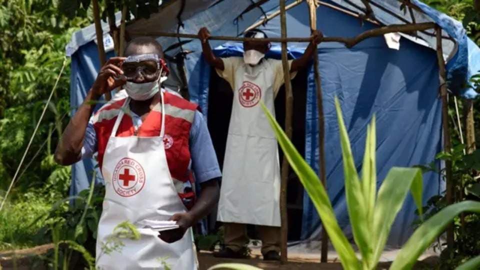 WHO Says Ebola Risk Low in Nigeria