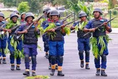 FG Boosts Mining Marshals, Targets Illegal Mining