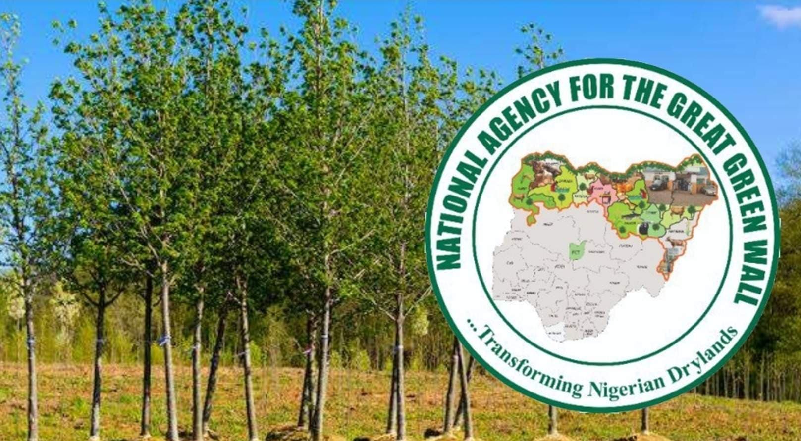 Nigeria Relocates Green Wall HQ to Kano