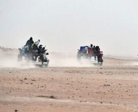 At Least 49 Die of Thirst in Sahara Desert