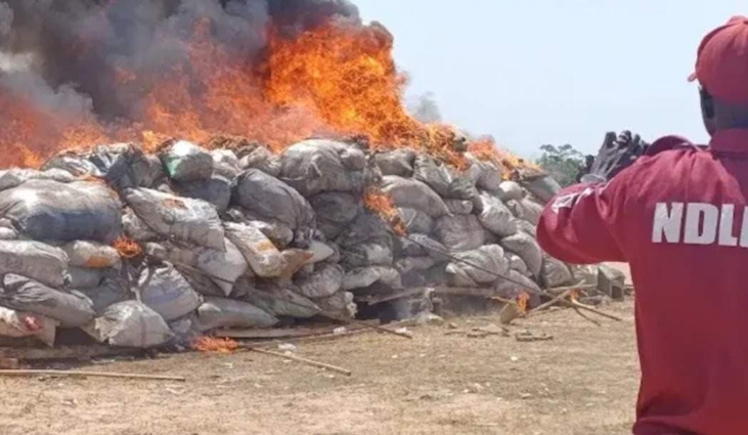 N2.8bn Drug Haul Destroyed in Edo Crackdown