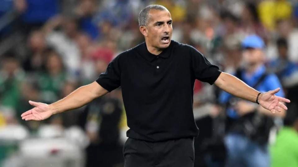 Tunisia: Lamouchi Sacked, Renard in After 5-1 Sweden Loss