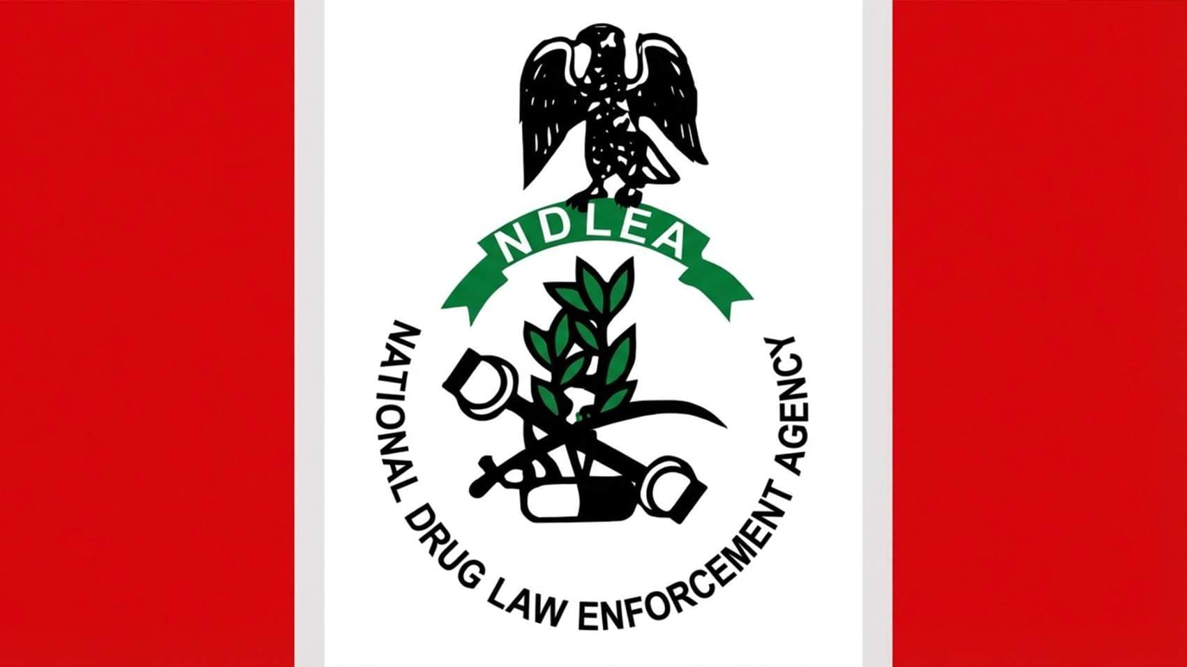 NDLEA Gets AK-47 Rifles to Battle Armed Drug Cartels
