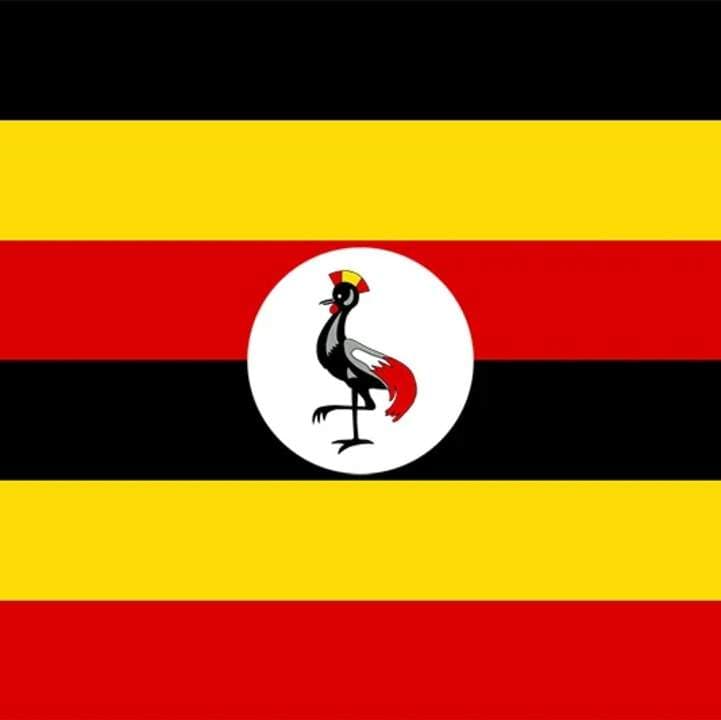 Uganda Military Shuts Media Outlets as Talks to Reopen Continue