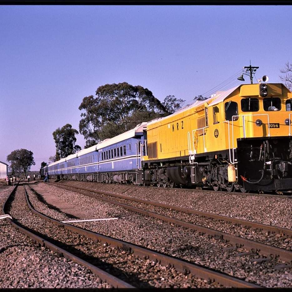 Zimbabwe Rail Opens new Route to Haul Lithium to Maputo Port