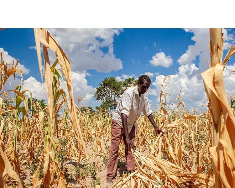 WFP: Powerful El Niño Could Push 49 Million Into Hunger