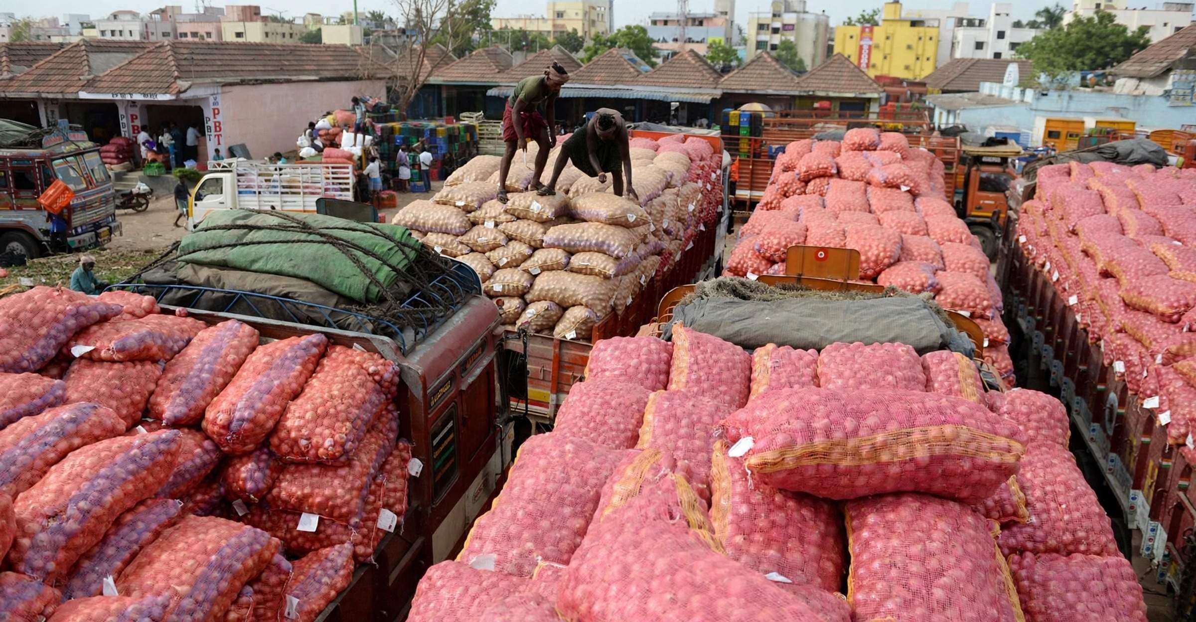 Onion Trade Resumes: Nigeria Lifts Export Ban to Ghana