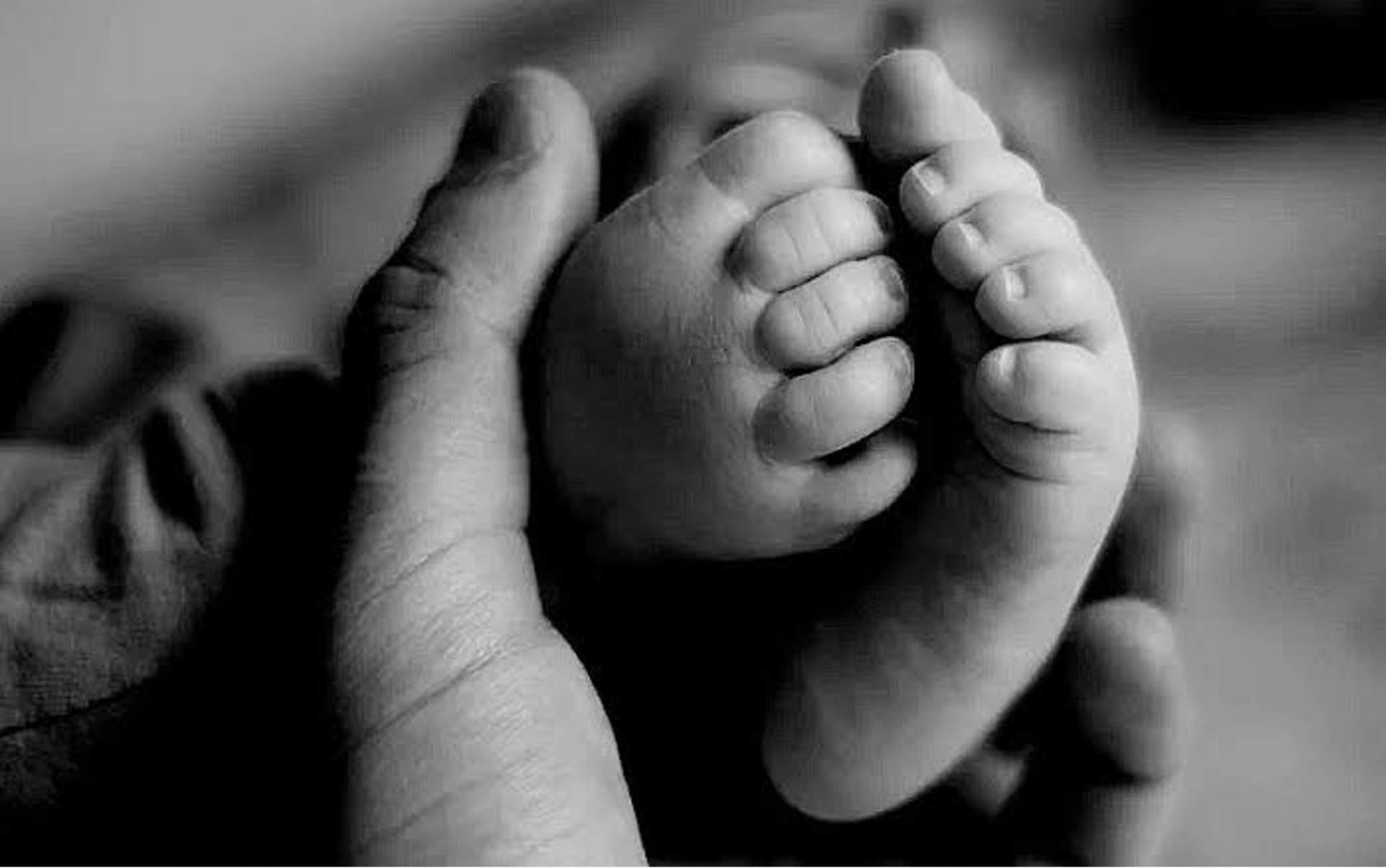 NAPTIP Seals Port Harcourt Baby Factory Over ₦13.5m Sale