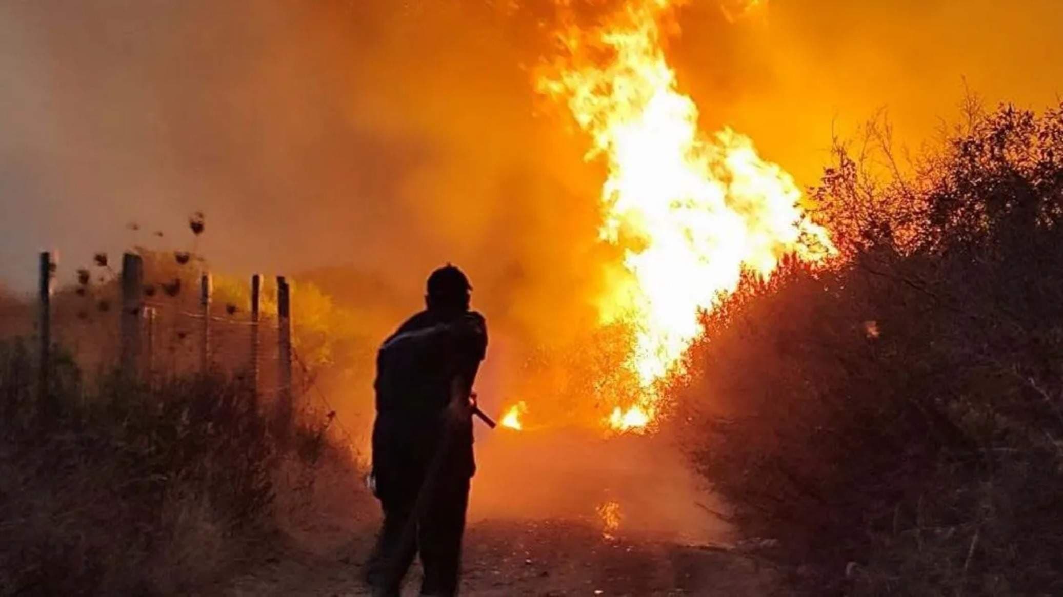 Algeria President Wants Death Penalty for Arsonists After Deadly Fires Kill 12