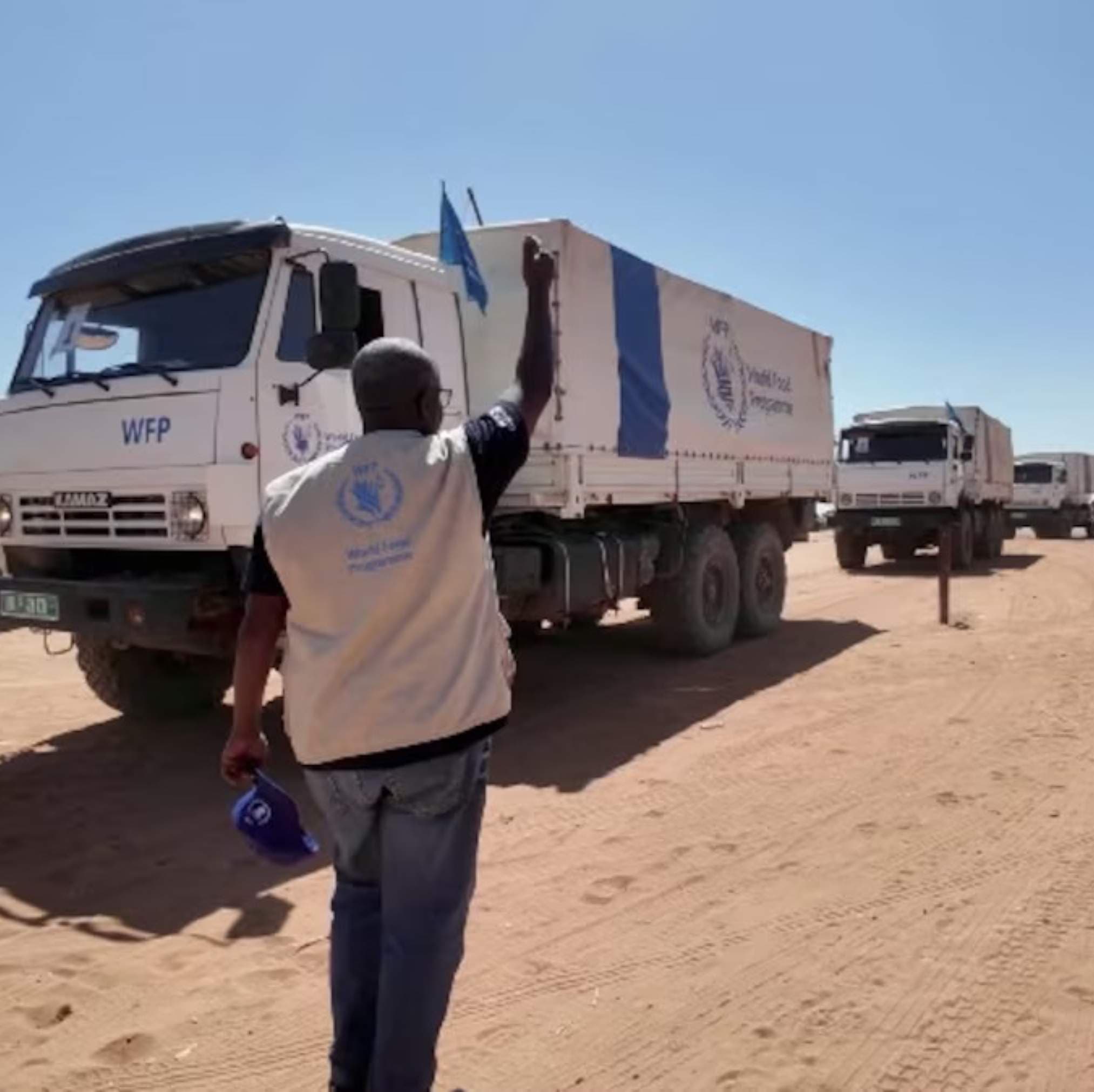 Sudan Hunger Crisis: WFP Funding Reduced as 20 Million Face Starvation