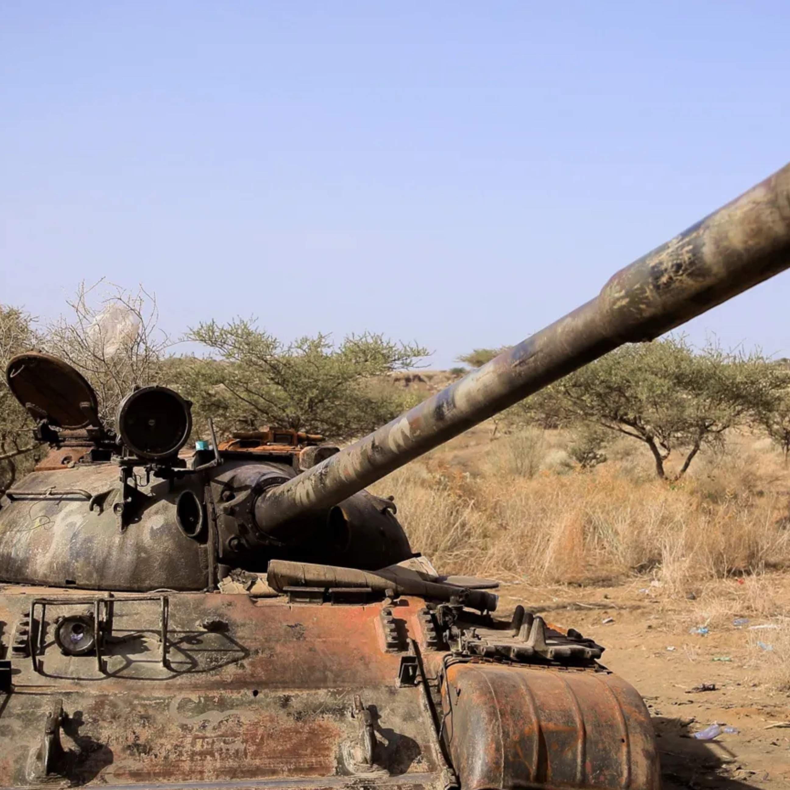 Ethiopia Rebel Groups Form Alliance for Survival to Oust Abiy Government